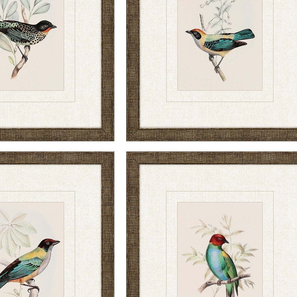 Set Of Four On Perch I Gold Framed Print Wall Art