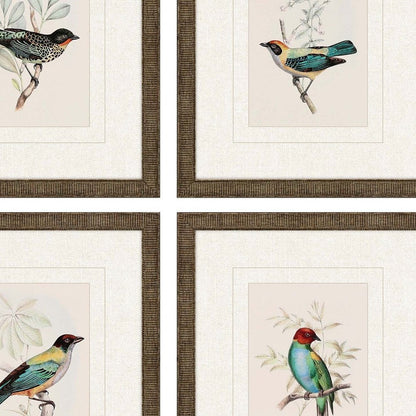 Set Of Four On Perch I Gold Framed Print Wall Art
