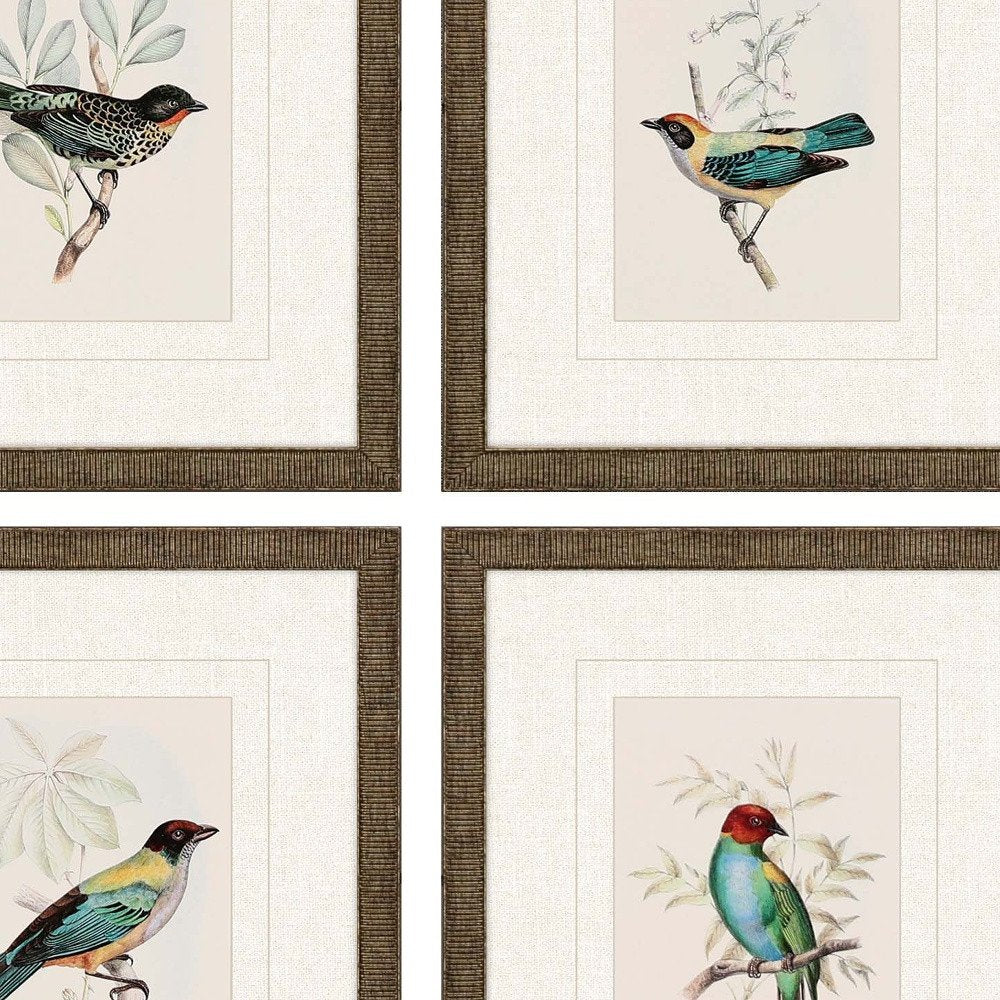 Set Of Four On Perch I Gold Framed Print Wall Art — view 4
