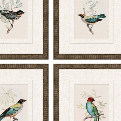 Set Of Four On Perch I Gold Framed Print Wall Art