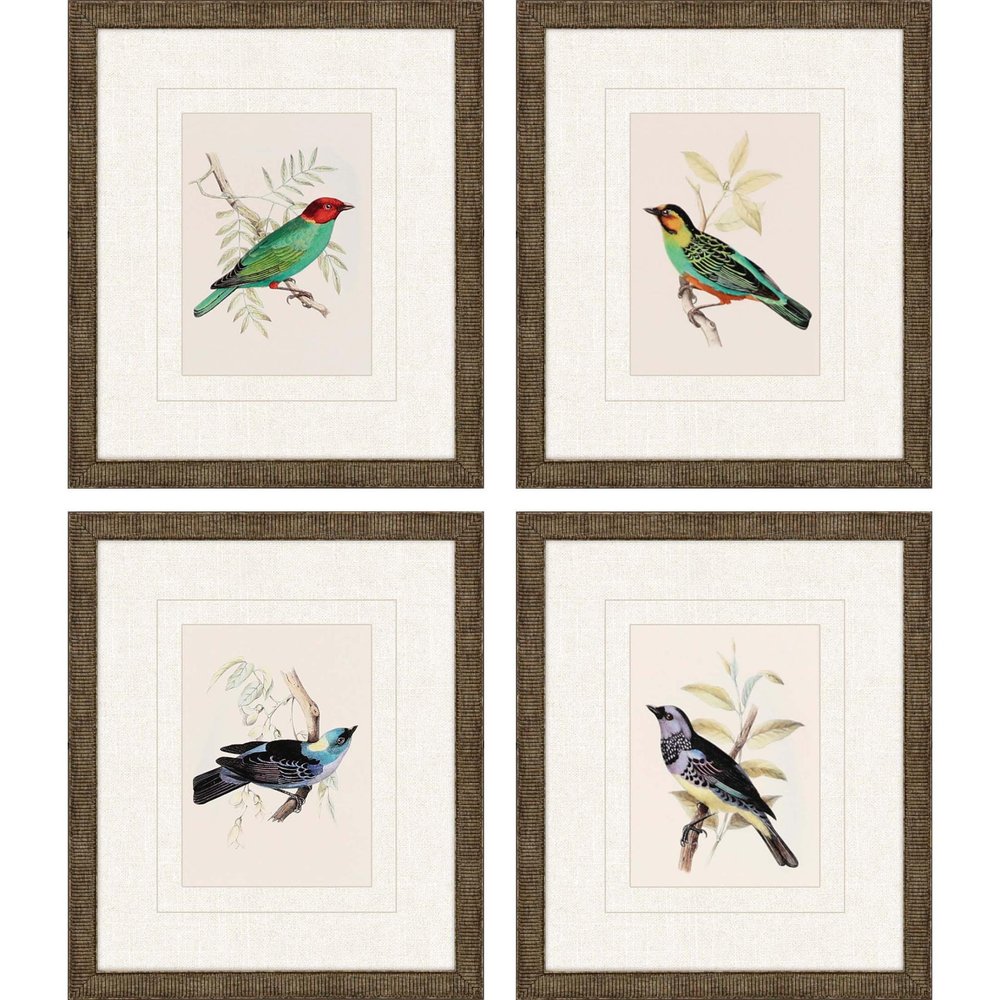 Set Of Four On Perch II Gold Framed Print Wall Art — view 1
