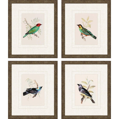 Set Of Four On Perch II Gold Framed Print Wall Art