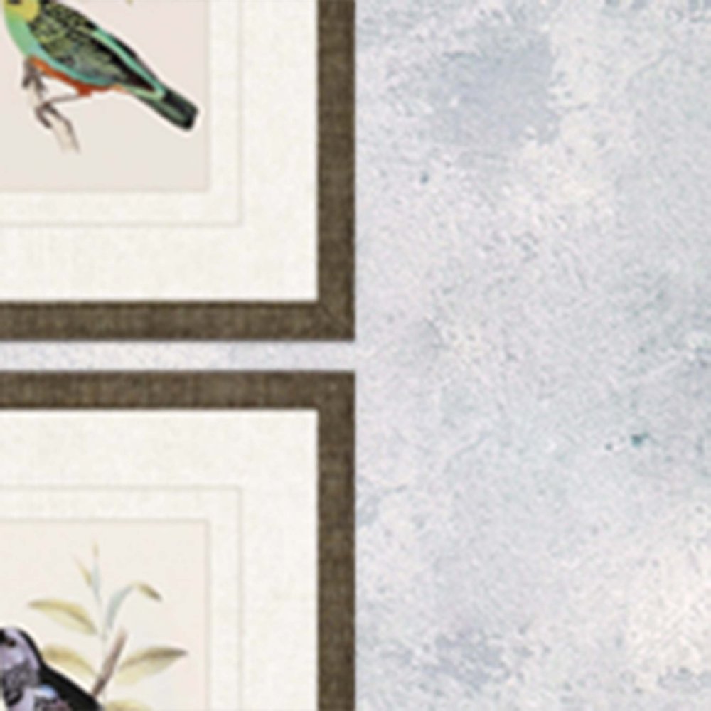 Set Of Four On Perch II Gold Framed Print Wall Art
