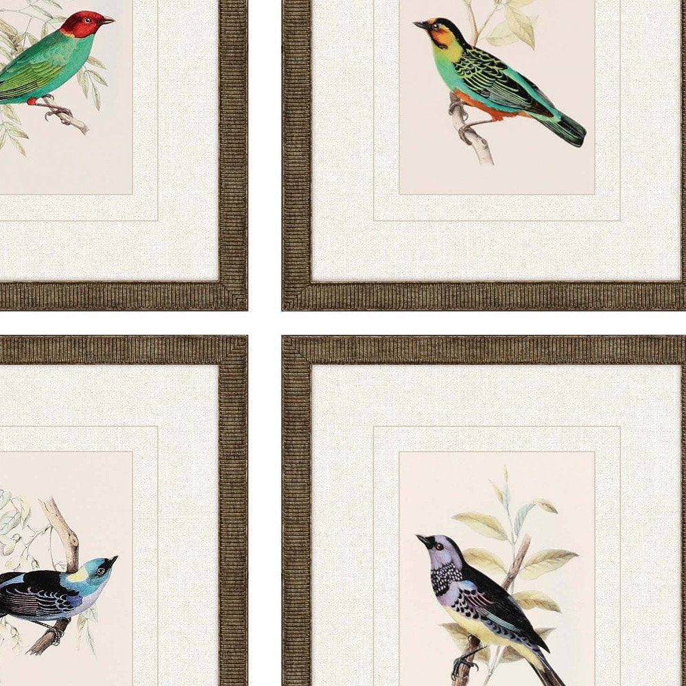 Set Of Four On Perch II Gold Framed Print Wall Art — view 3