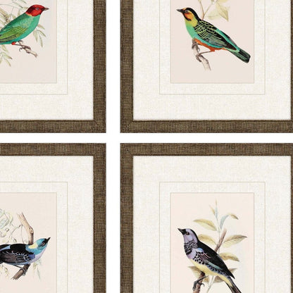 Set Of Four On Perch II Gold Framed Print Wall Art