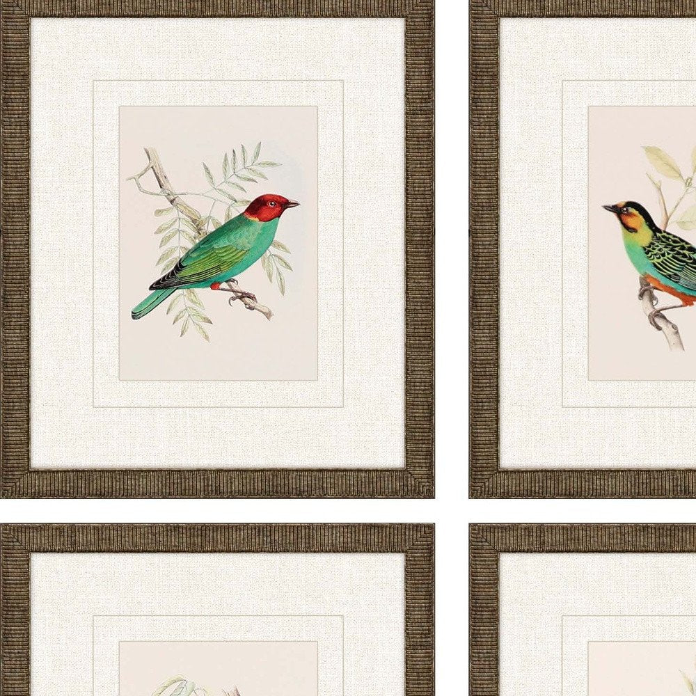Set Of Four On Perch II Gold Framed Print Wall Art