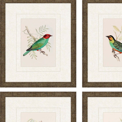 Set Of Four On Perch II Gold Framed Print Wall Art