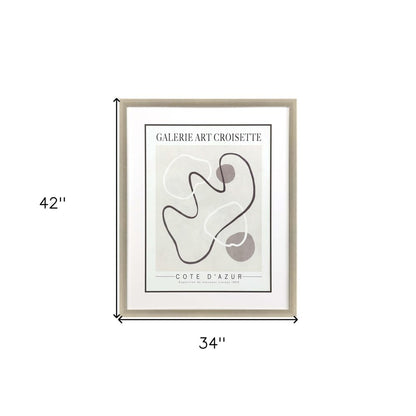 Les Fossiles Silver Framed Print Wall Art