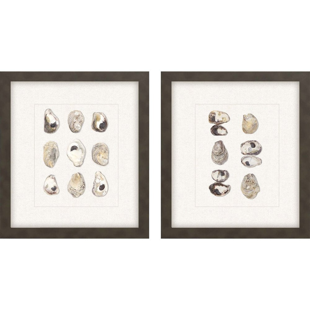 Set Of Two 18" x 16" Oyster Shell Brown Framed Wall Art