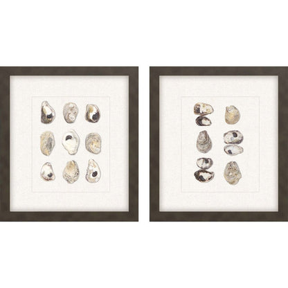 Set Of Two 18" x 16" Oyster Shell Brown Framed Wall Art