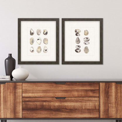 Set Of Two 18" x 16" Oyster Shell Brown Framed Wall Art
