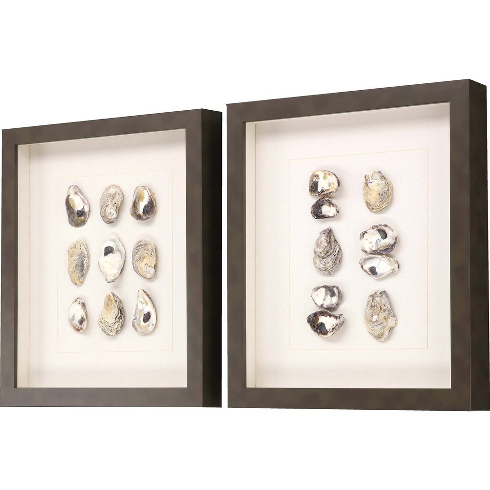Set Of Two 18" x 16" Oyster Shell Brown Framed Wall Art