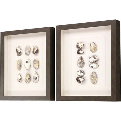 Set Of Two 18" x 16" Oyster Shell Brown Framed Wall Art