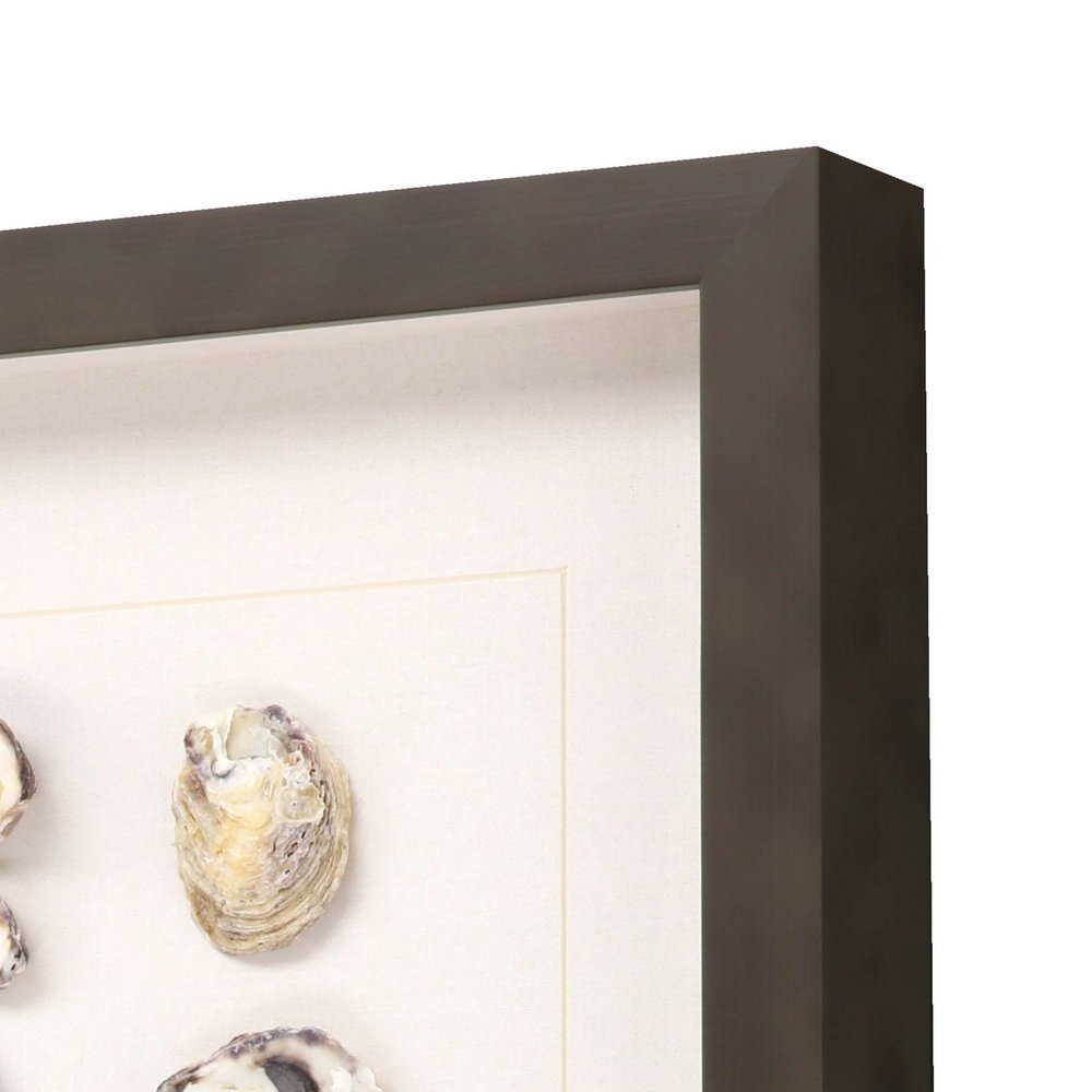 Set Of Two 18" x 16" Oyster Shell Brown Framed Wall Art
