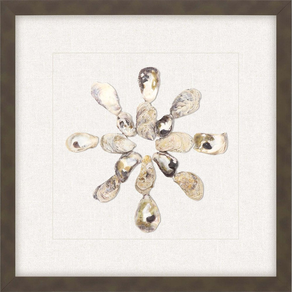 Oyster Shell I Brown Framed Print Wall Art — view 1