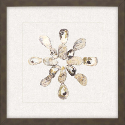 Oyster Shell I Brown Framed Print Wall Art