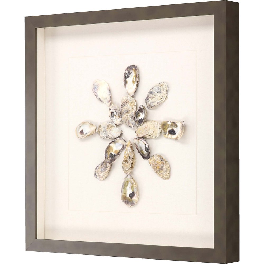 Oyster Shell I Brown Framed Print Wall Art