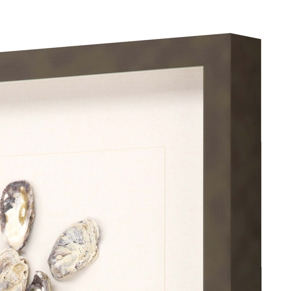 Oyster Shell I Brown Framed Print Wall Art