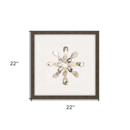 Oyster Shell I Brown Framed Print Wall Art