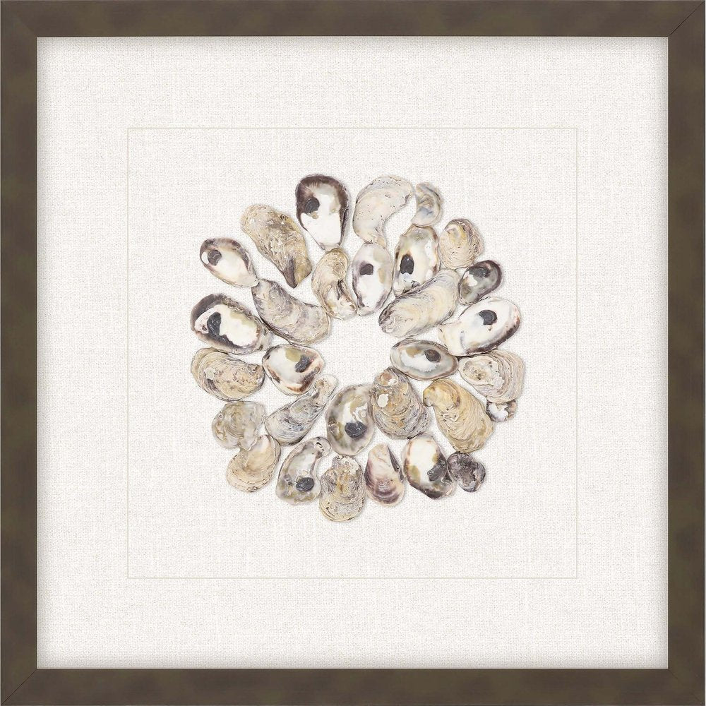 Oyster Shell II Brown Framed Print Wall Art — view 1