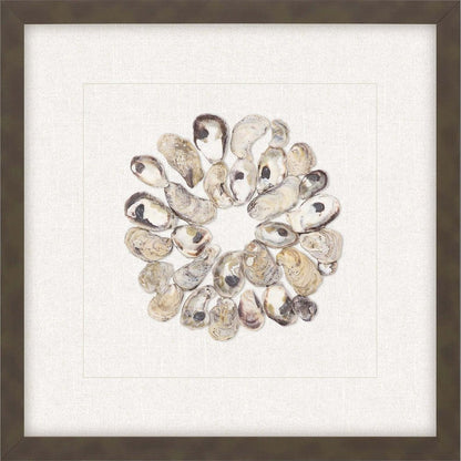 Oyster Shell II Brown Framed Print Wall Art