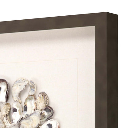 Oyster Shell II Brown Framed Print Wall Art