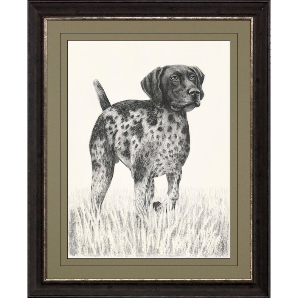Canine Gaze Brown Framed Print Wall Art — view 1