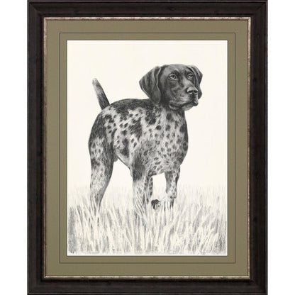 Canine Gaze Brown Framed Print Wall Art