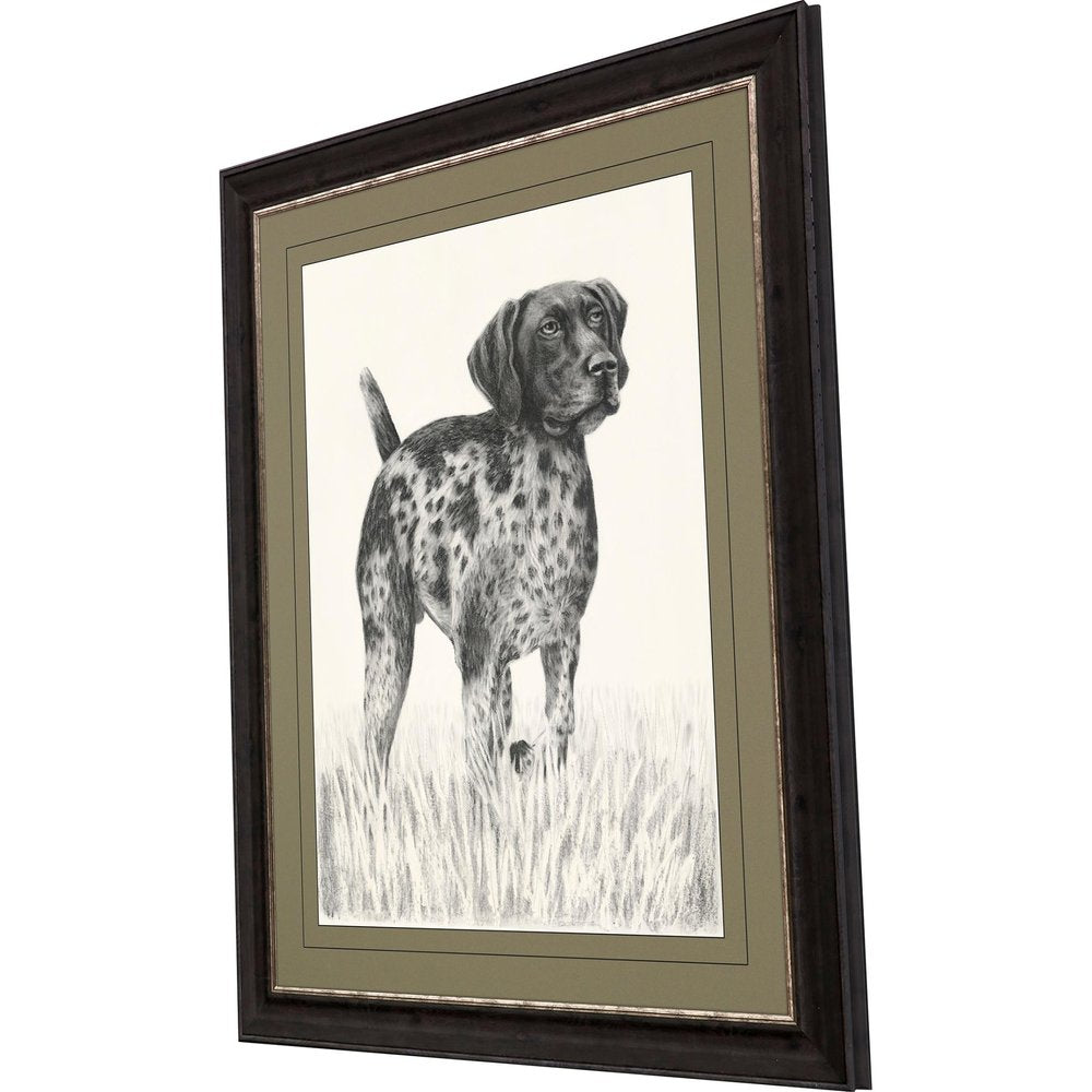 Canine Gaze Brown Framed Print Wall Art