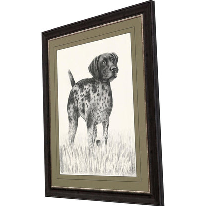 Canine Gaze Brown Framed Print Wall Art