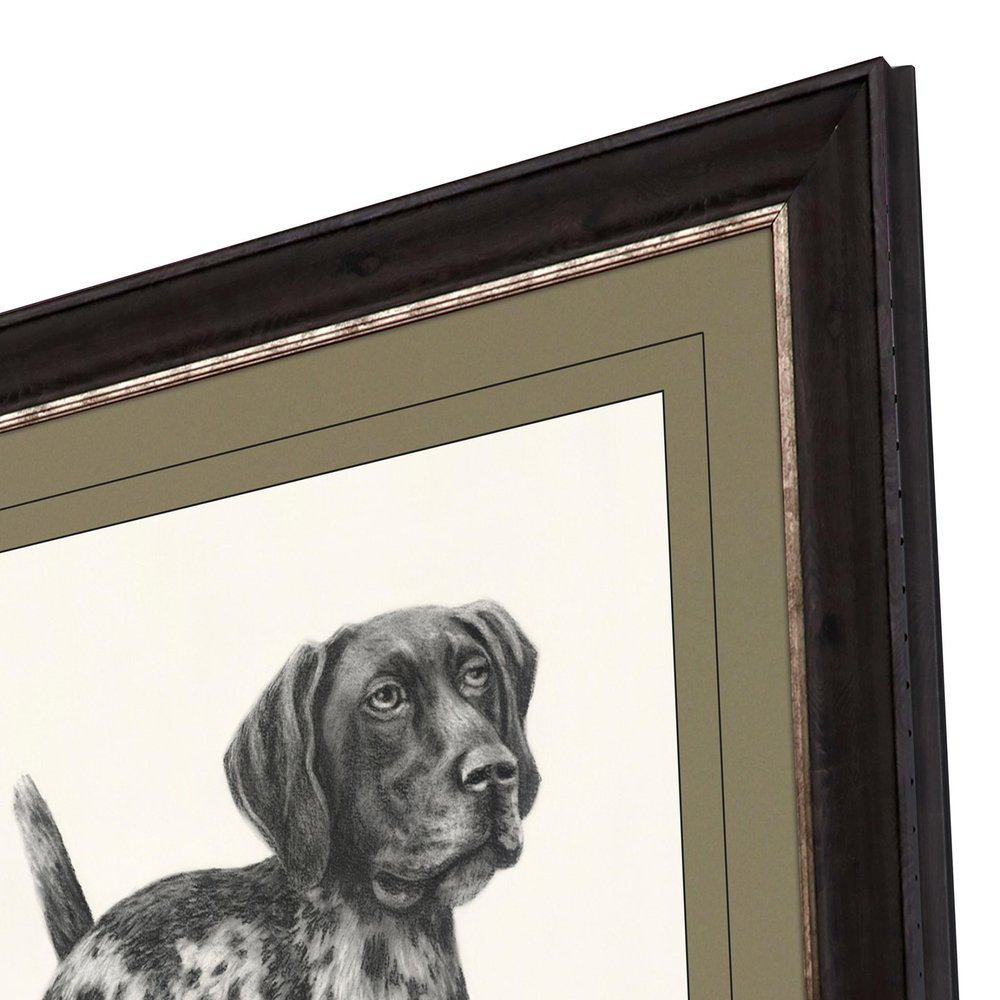 Canine Gaze Brown Framed Print Wall Art