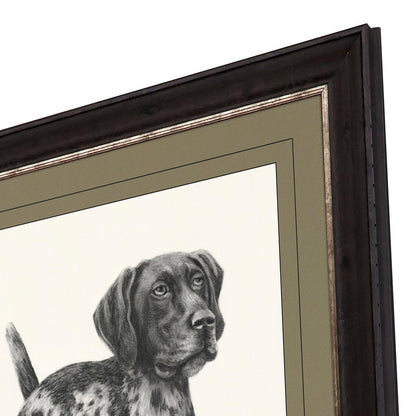 Canine Gaze Brown Framed Print Wall Art