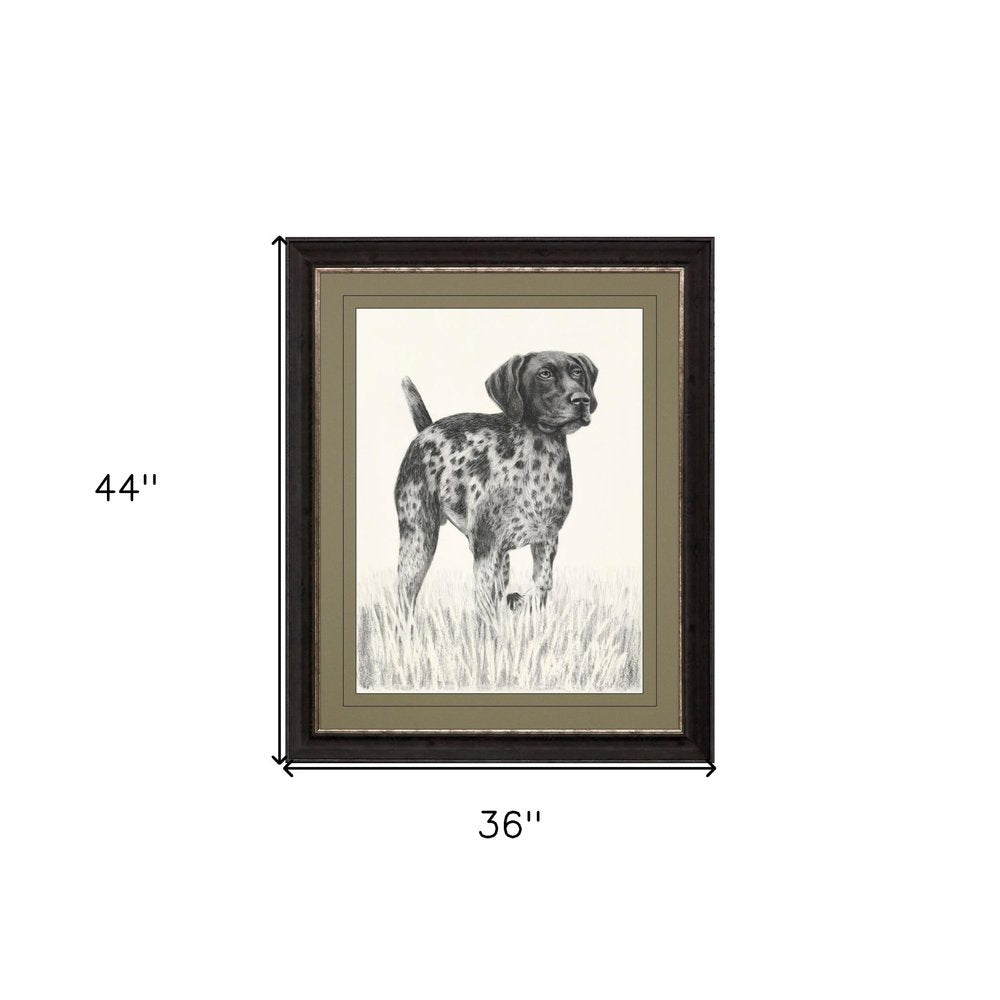 Canine Gaze Brown Framed Print Wall Art