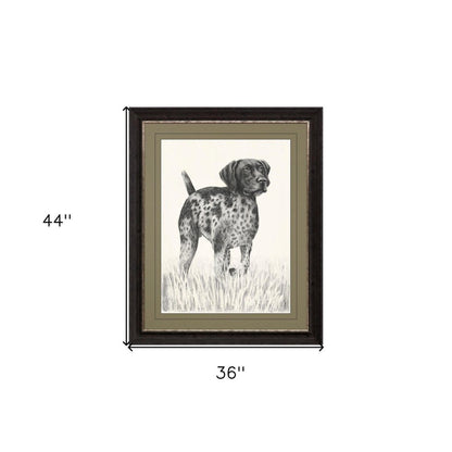 Canine Gaze Brown Framed Print Wall Art