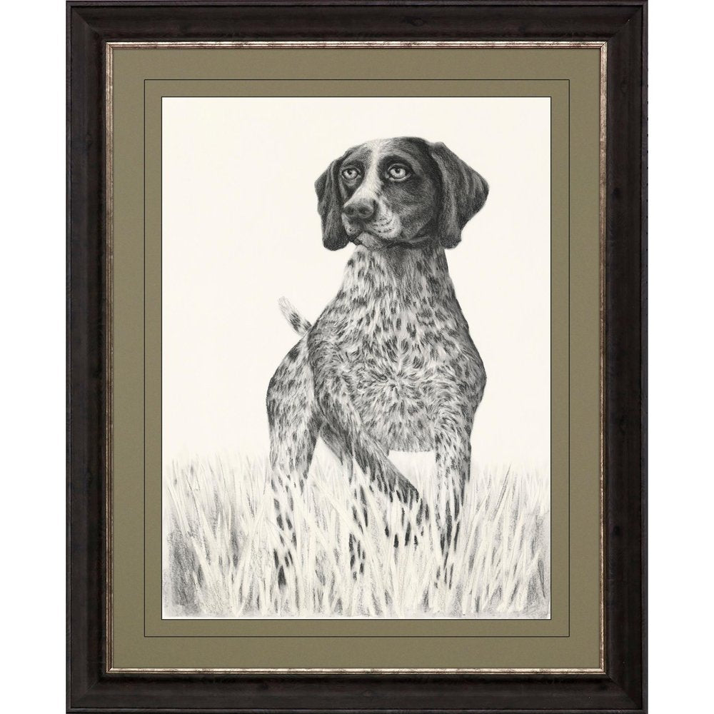 Hunting Dog Brown Framed Print Wall Art