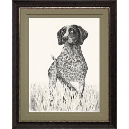 Hunting Dog Brown Framed Print Wall Art