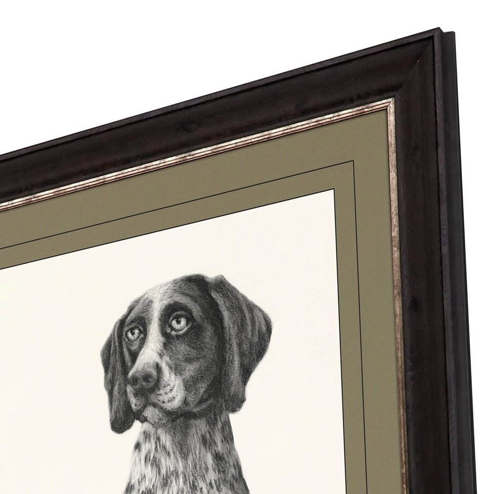 Hunting Dog Brown Framed Print Wall Art