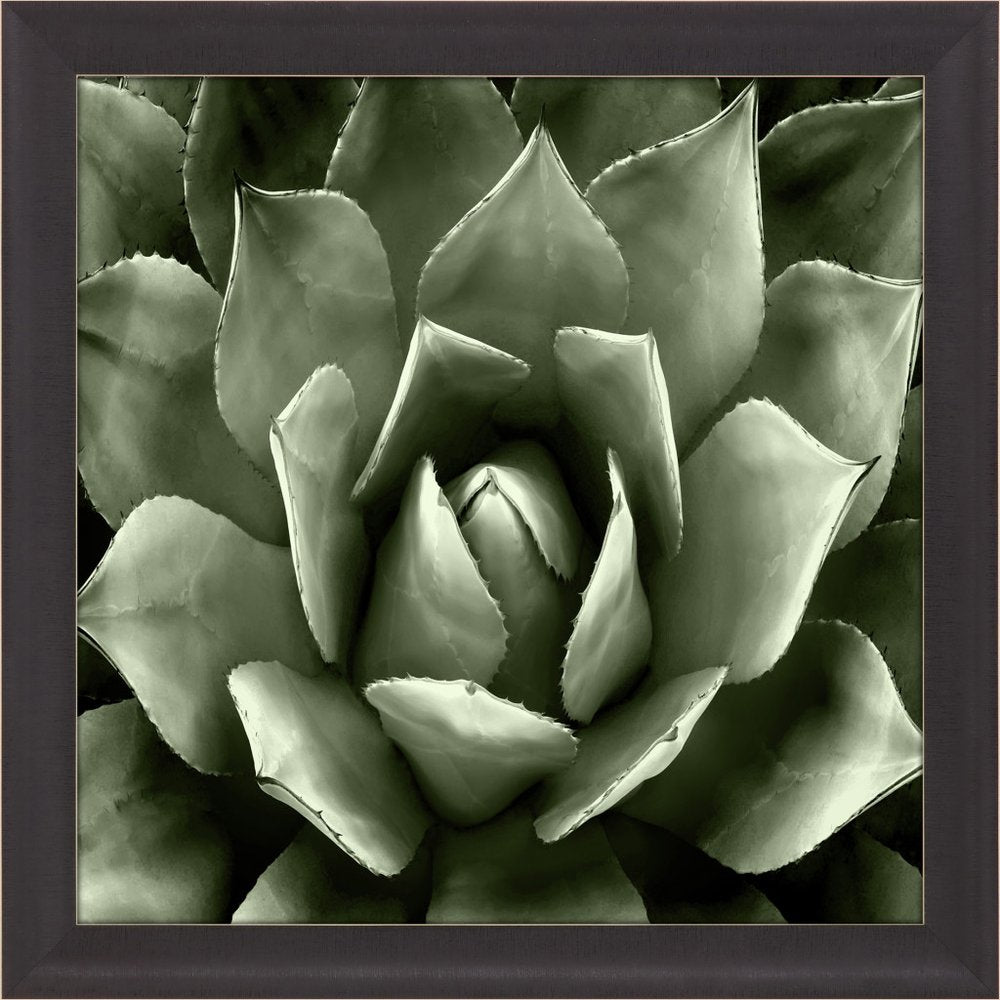 Green Succulent II Brown Framed Print Wall Art