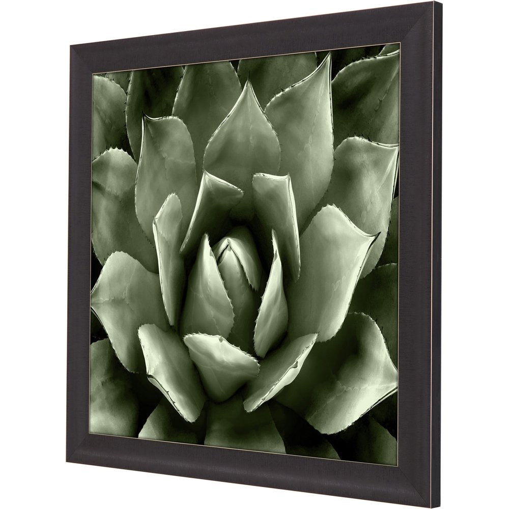 Green Succulent II Brown Framed Print Wall Art
