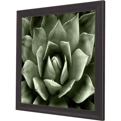 Green Succulent II Brown Framed Print Wall Art