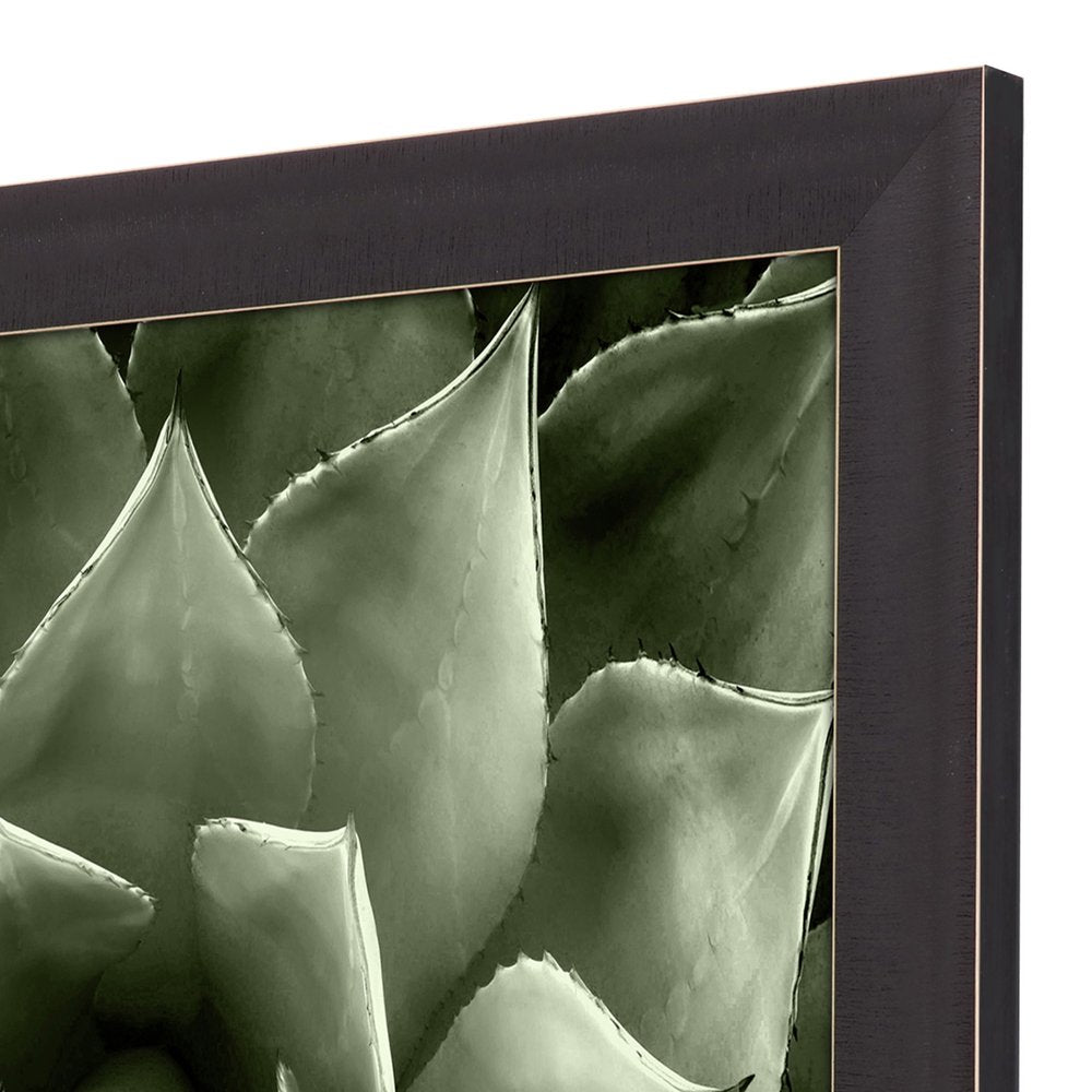 Green Succulent II Brown Framed Print Wall Art — view 3