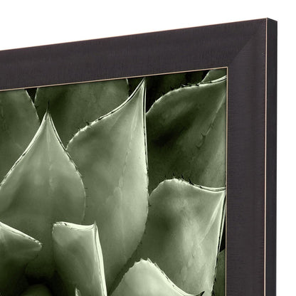 Green Succulent II Brown Framed Print Wall Art