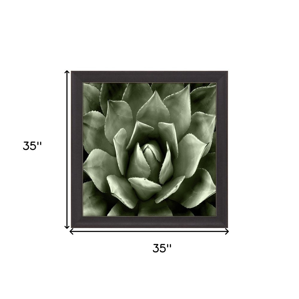 Green Succulent II Brown Framed Print Wall Art