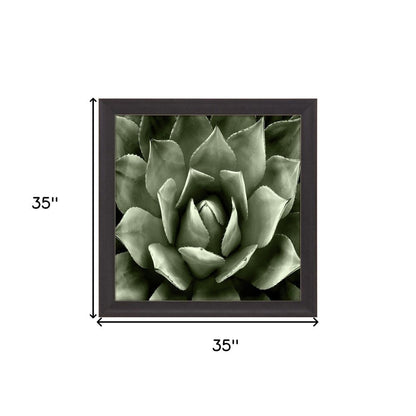 Green Succulent II Brown Framed Print Wall Art