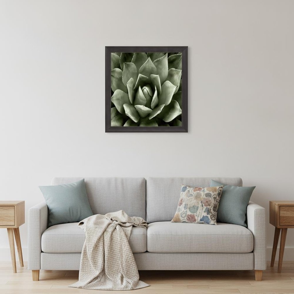Green Succulent II Brown Framed Print Wall Art — view 5