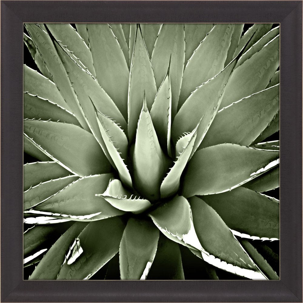 Green Succulent III Brown Framed Print Wall Art — view 1