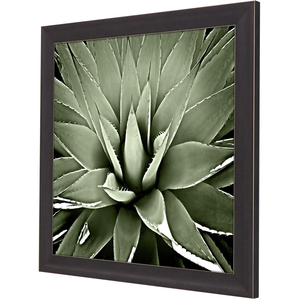 Green Succulent III Brown Framed Print Wall Art
