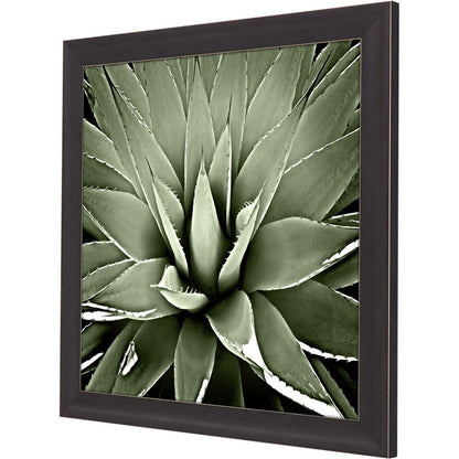 Green Succulent III Brown Framed Print Wall Art