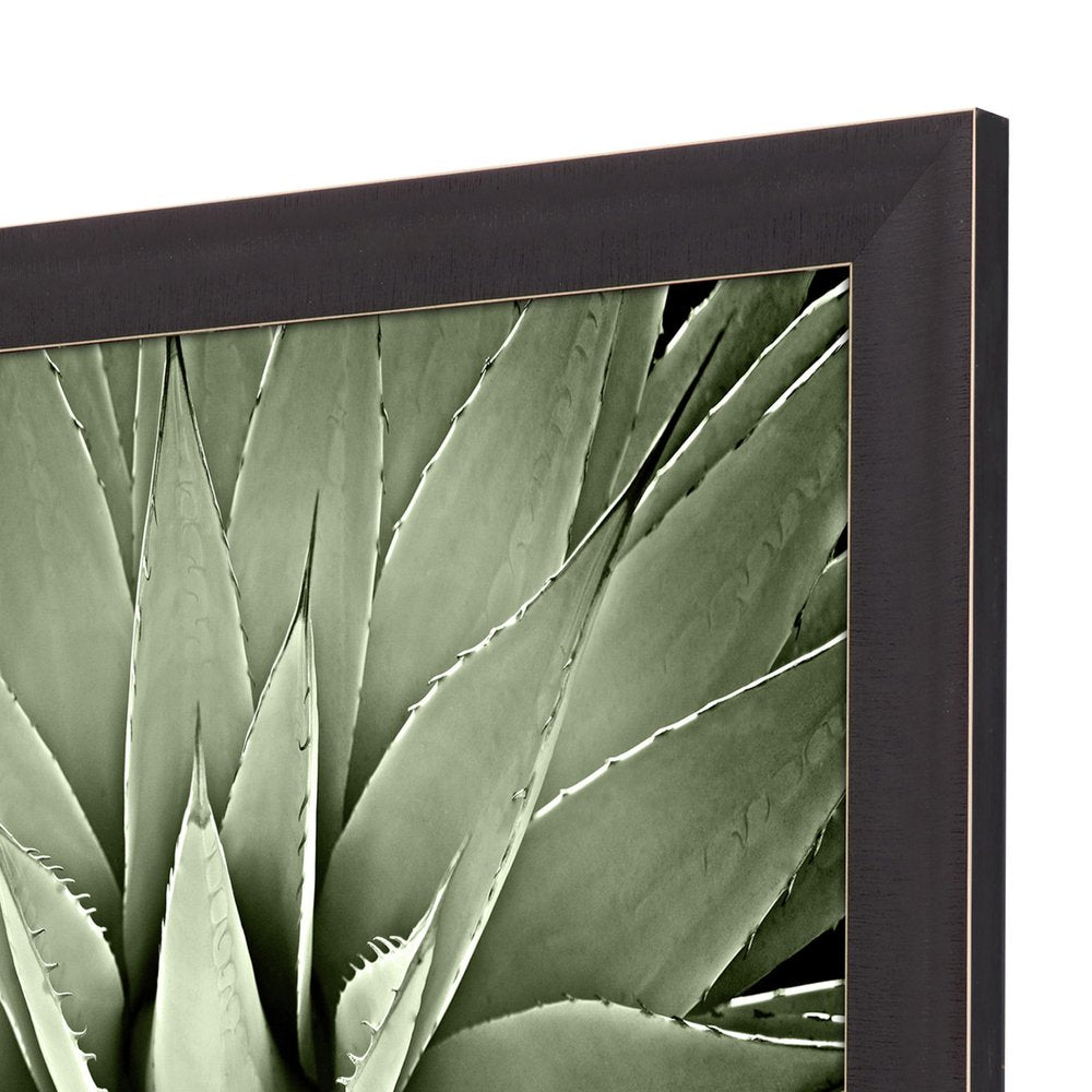 Green Succulent III Brown Framed Print Wall Art — view 3