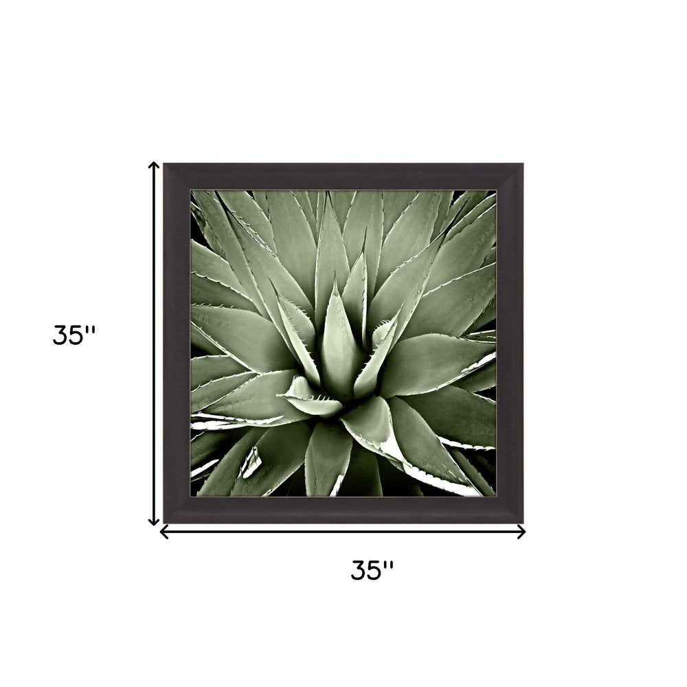 Green Succulent III Brown Framed Print Wall Art